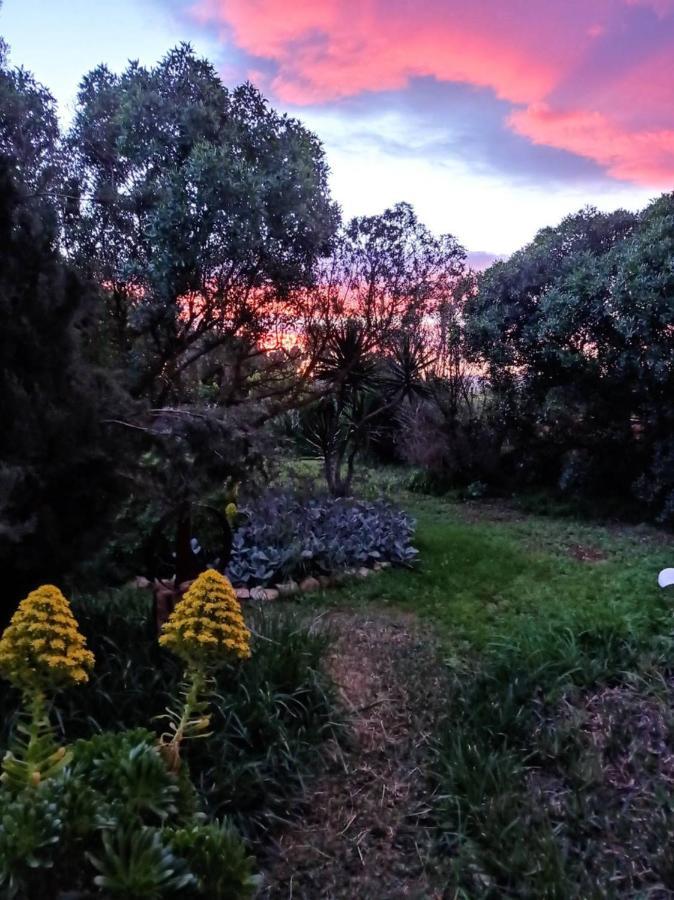 Arthouse Campos Mit Haus Galeria 110Qm Und Appartementhaus Mit Patio 30Qm Exterior foto
